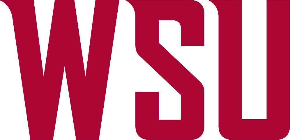 Washington State Cougars 2011-Pres Wordmark Logo v2 diy DTF decal sticker